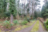 Zuweg - Ferienhaus mitten in der Natur