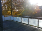 Bakkon - Erstklassiges Wohnen in der Großen Gänseweide – modern & mit Dachterrasse!