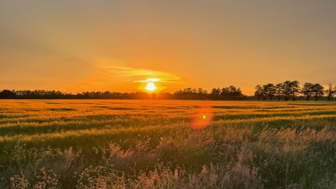570 m² Grundstück für Ihr Neubauprojekt, 21423 Winsen (Luhe), Wohngrundstück