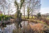 Eigener Teich im Garten - Sie suchen etwas Besonderes?