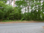 Grundstücksansicht - Baugrundstück mit Baumbestand