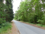 Verkehrsanbindung - Baugrundstück mit Baumbestand