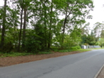 Straßenansicht des Grundstücks - Baugrundstück mit Baumbestand