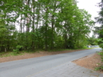 Grundstücksansicht 2 - Baugrundstück mit Baumbestand